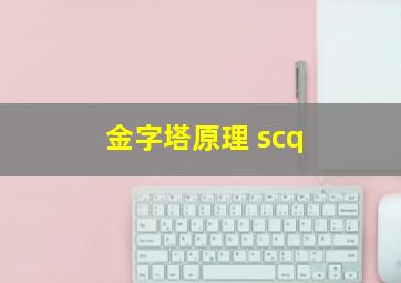 金字塔原理 scq